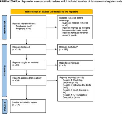 Systematic review of the therapeutic use of Schwann cells in the repair of peripheral nerve injuries: Advancements from animal studies to clinical trials